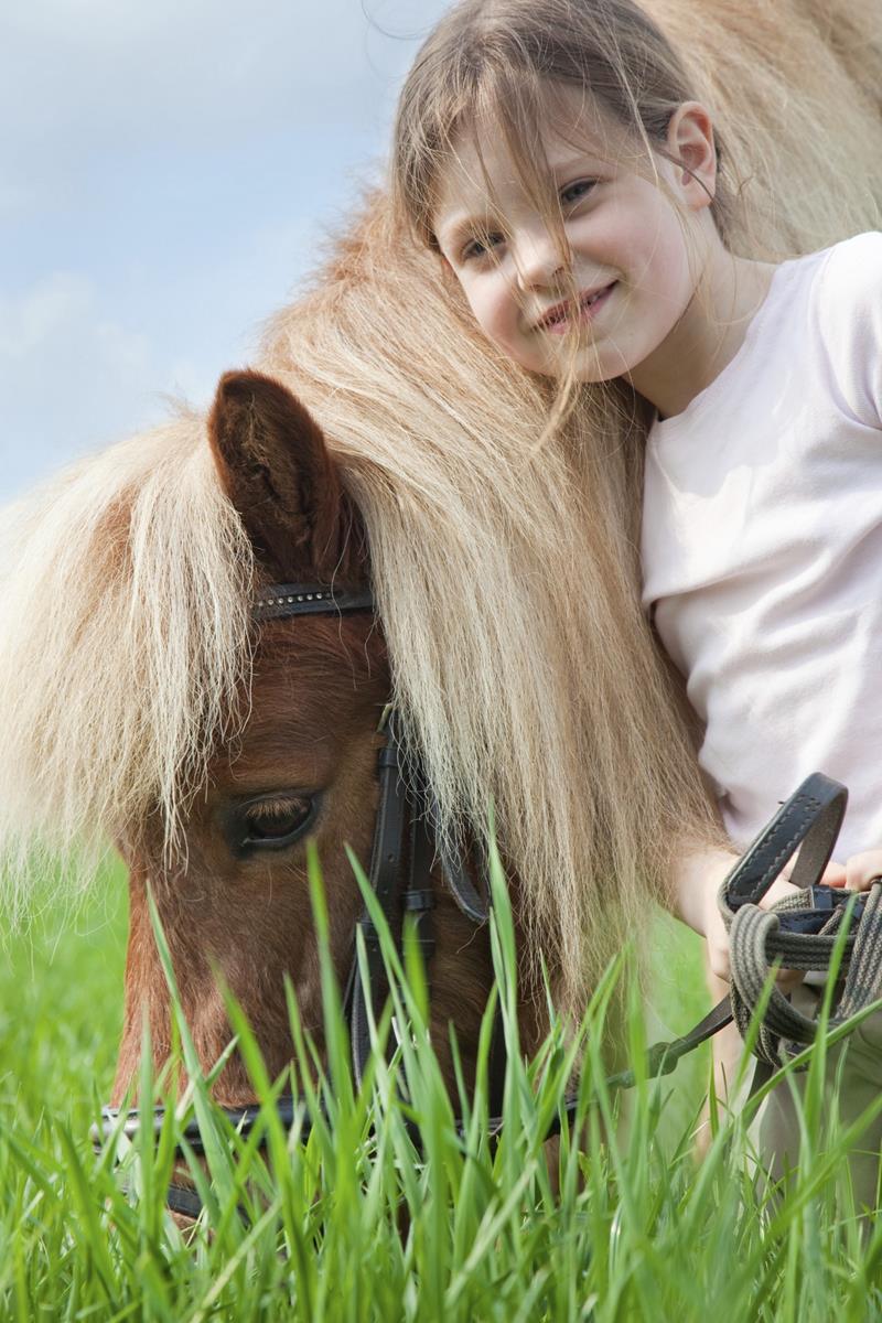 New Clients Horsefly Creek Veterinary Services